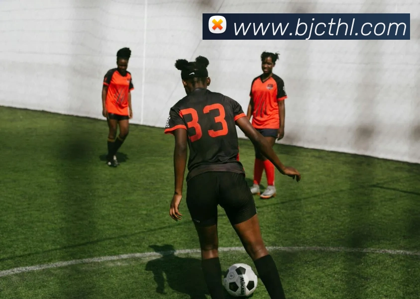 米乐登录入口发展历程